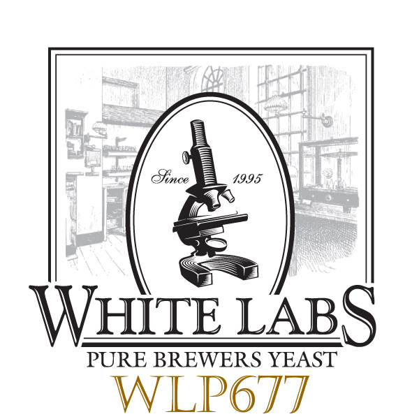 White Labs WLP677 Lactobacillus Delbrueckii Bacteria Michigan Brew